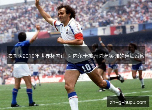 法国队2010年世界杯内讧 阿内尔卡被开除与罢训的连锁反应